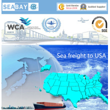 Fast Economic Sea Freight De la Chine à Chicago